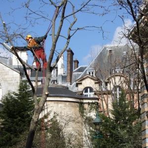 Nettoyage et désherbage d’un jardin à Montpon-Ménestérol.